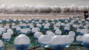 The Light of Waves