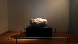 Light Space -The Stone-